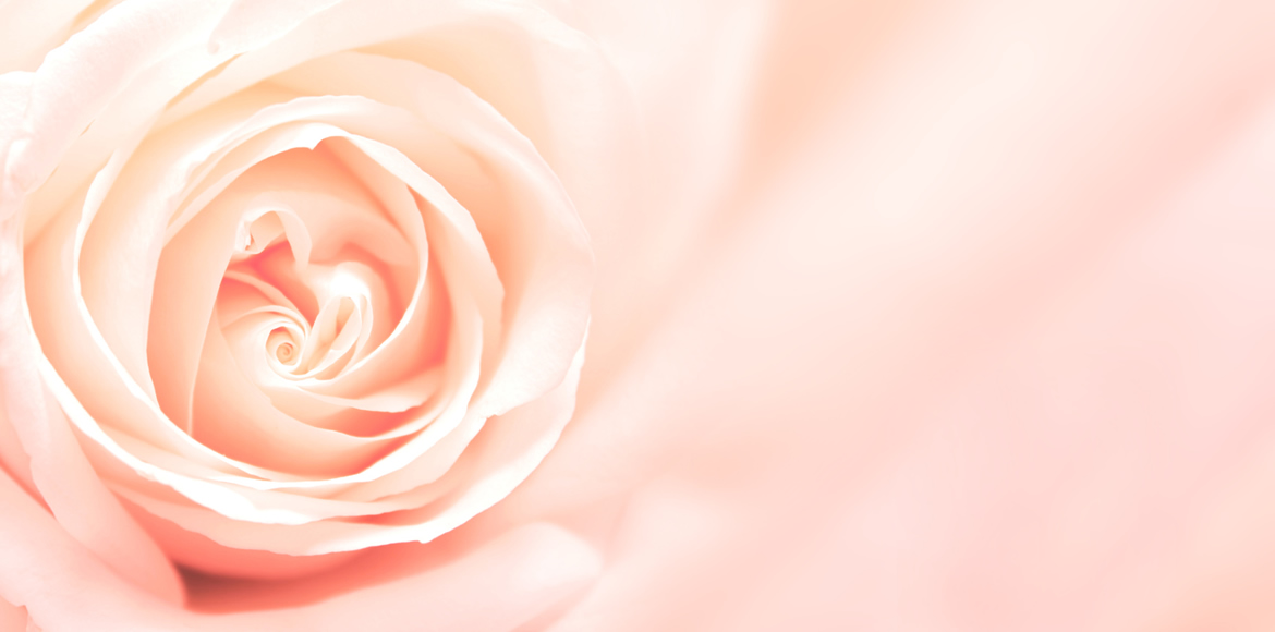 Fotolia_72538752_M.jpg